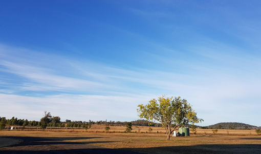 重癥康復病房準入標準解析：ICU轉出條件與特殊情況應對